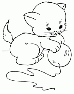 kediboyamasayfasicat ()-1504446070kn48g