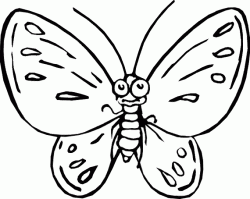 kelebekboyamasayfasibutterfly ()-15044463578gkn4