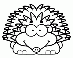 kirpiboyamasayfasihedgehog ()-15044693144kn8g