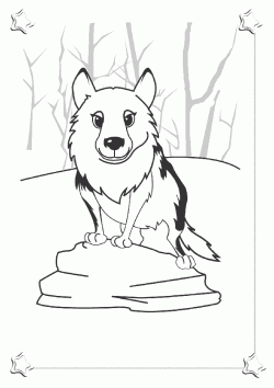 kopekboyamasayfasi ()-1506371642kg48n