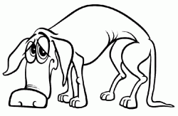 kopekboyamasayfasidog ()-15044682108ngk4