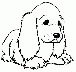 kopekboyamasayfasidog ()-15044687514k8ng