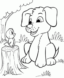 kopekboyamasayfasidog ()-150446885848kng