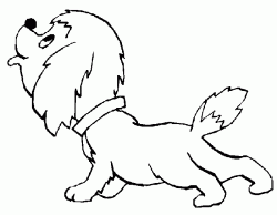 kopekboyamasayfasidog ()-1504468896n48kg