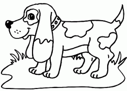 kopekboyamasayfasidog ()-1504468933gn8k4