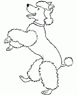 kopekboyamasayfasidog ()-15044689774gkn8