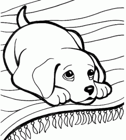 kopekboyamasayfasidog ()-150446898948kng