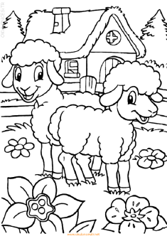 koyunkeciboyamasayfasisheep