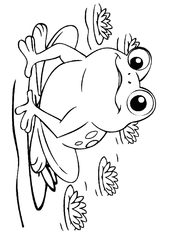 Kurbağa Boyama Sayfası