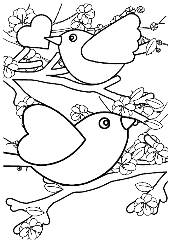 Kuş Boyama Sayfası