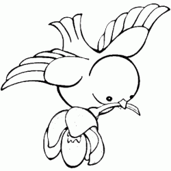 kusboyamasayfasibird ()-1504472590ng84k