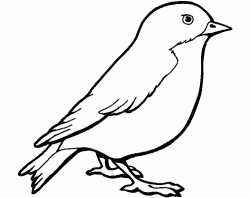 kusboyamasayfasibird ()-1504472624g8n4k