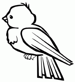 kusboyamasayfasibird ()-15044726308kng4