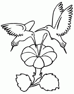 kusboyamasayfasibird ()-1504472643gk8n4