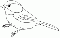 kusboyamasayfasibird ()-1504472664g8n4k