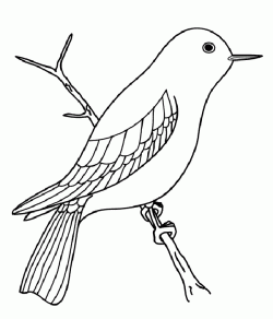 kusboyamasayfasibird ()-150447270948kng