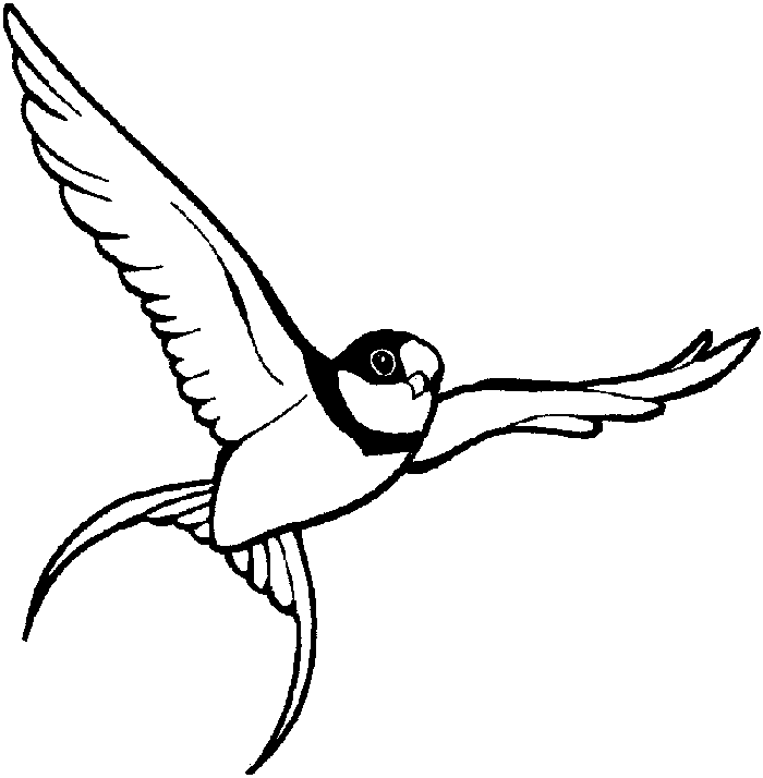 Kuş Boyama Sayfası