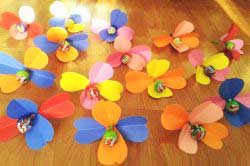 lolipopcicek-1505849358gn84k