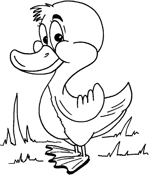 Ördek Boyama Sayfası