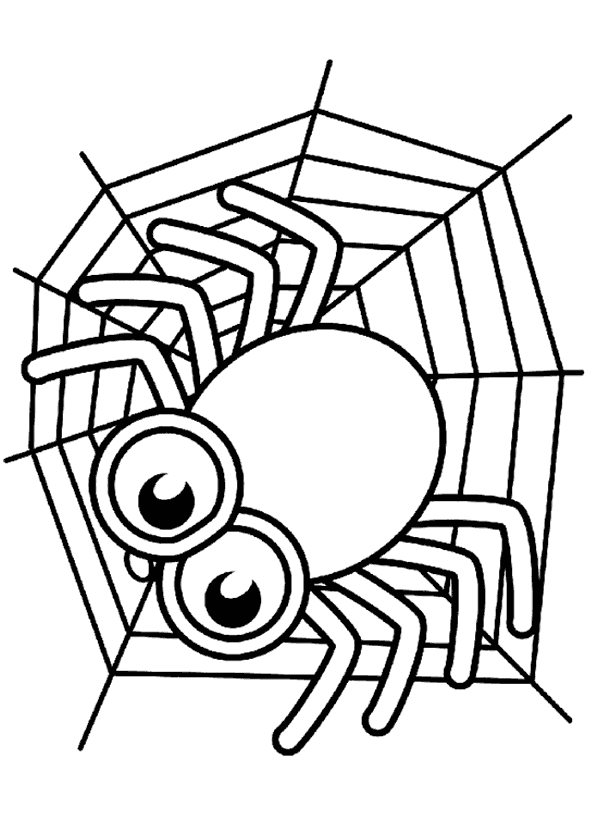 Örümcek Boyama Sayfası