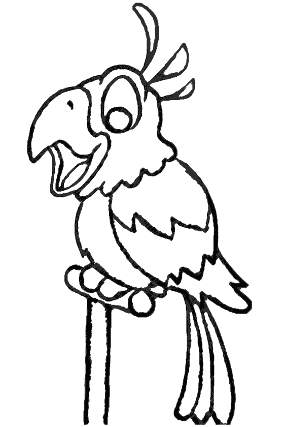 Papağan Boyama Sayfası