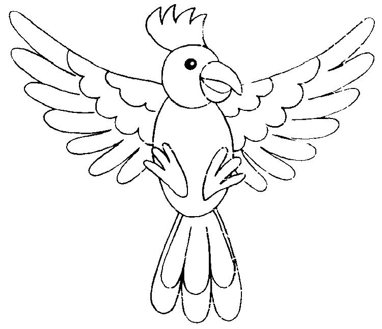 Papağan Boyama Sayfası
