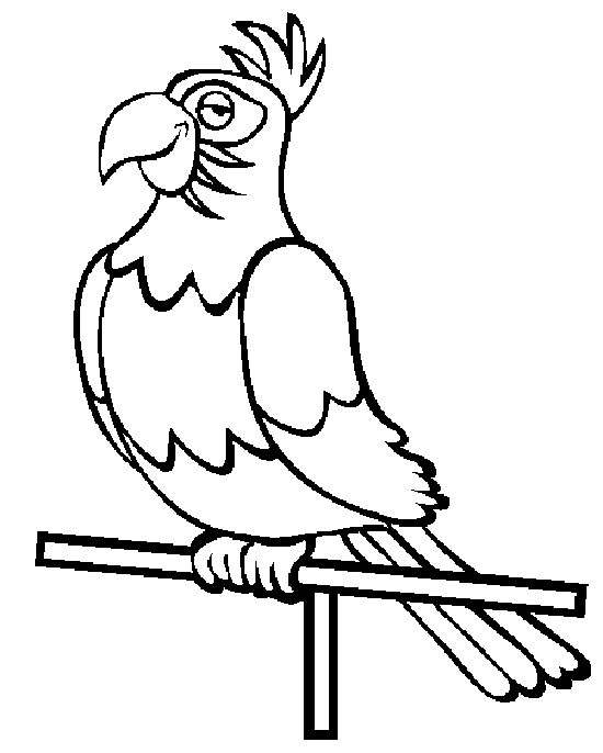 Papağan Boyama Sayfası