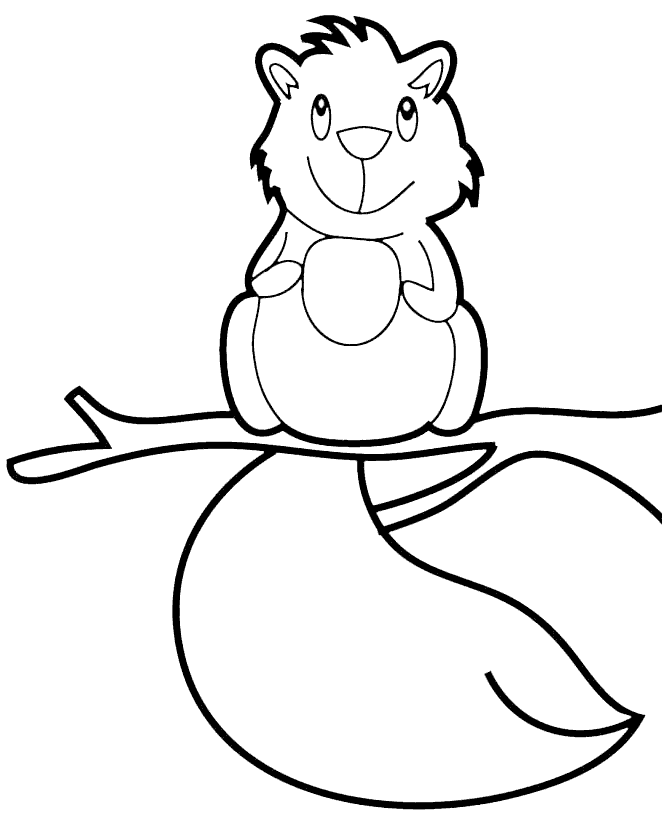 Sincap Boyama Sayfası