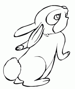 tavsanboyamasayfasirabbit ()-1504517208g8k4n