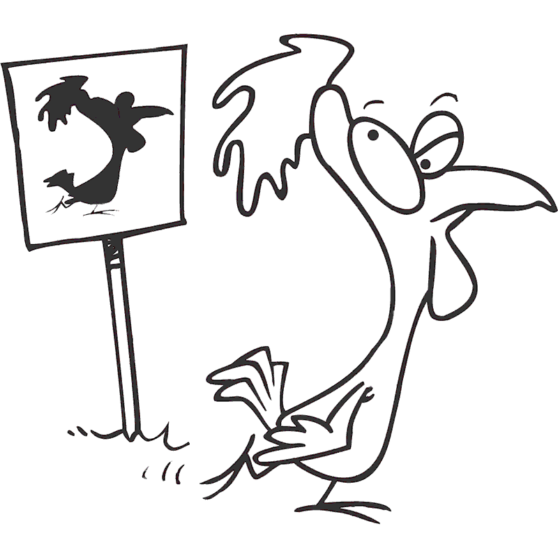 Tavuk Horoz Boyama Sayfası