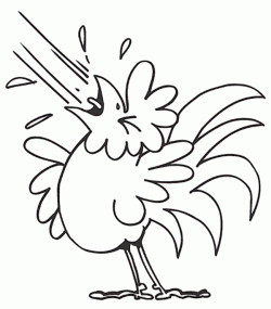 tavukhorozboyamasayfasichicken ()-150443323684nkg