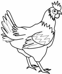 tavukhorozboyamasayfasichicken ()-1504433304g4n8k
