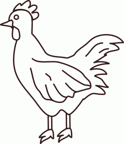 tavukhorozboyamasayfasichicken ()-15044333254n8gk
