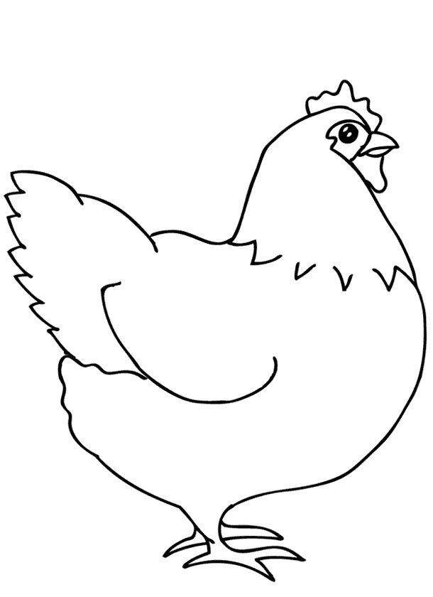 Tavuk Horoz Boyama Sayfası