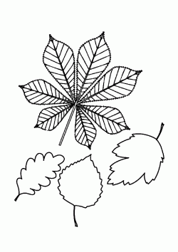 yaprakboyamasayfasi ()-15063581804gnk8