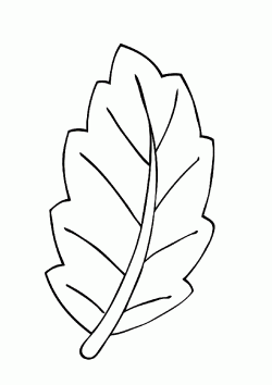 yaprakboyamasayfasi ()-15063581974gnk8