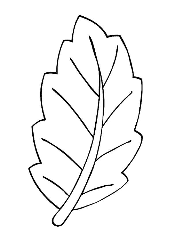 Yaprak Boyama Sayfası