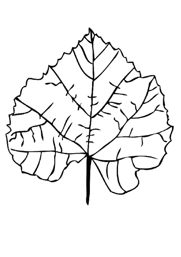 Yaprak Boyama Sayfası