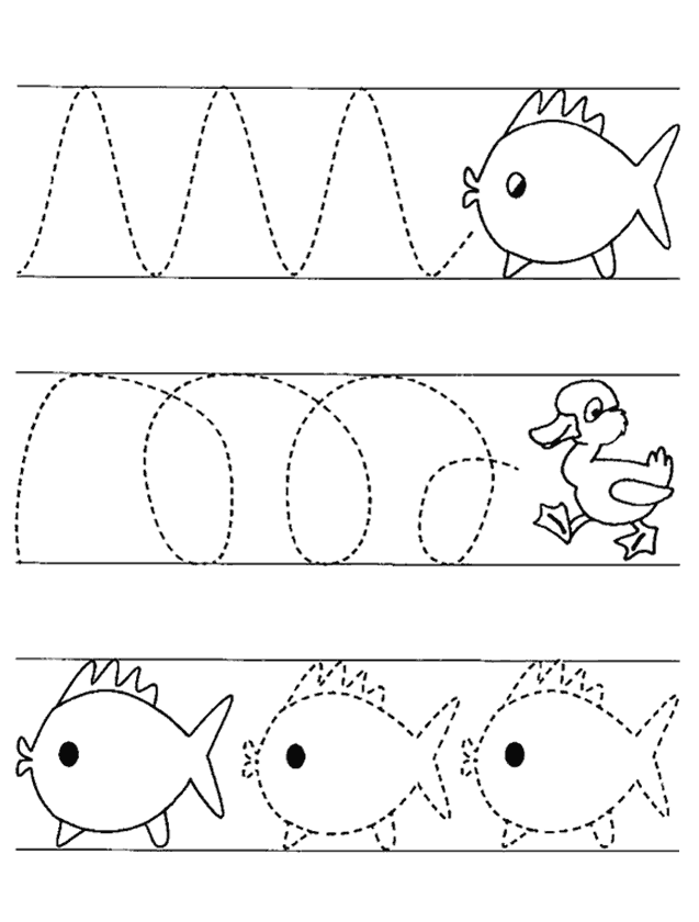 Çizgi Çalışma Sayfası