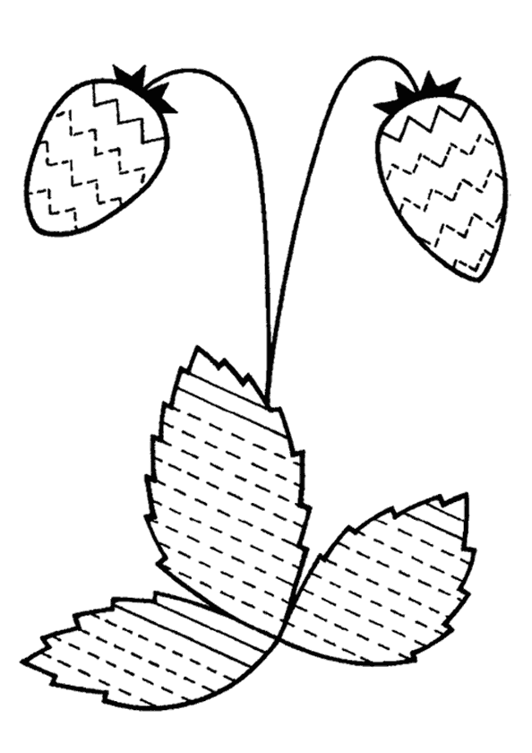 Çilek Çizgi Çalışma Sayfası