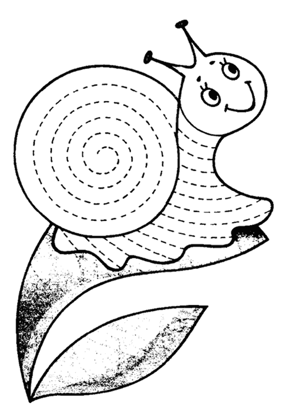 Çizgi Çalışma Sayfası