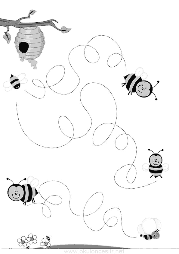 Arılar Çizgi Çalışma Sayfası