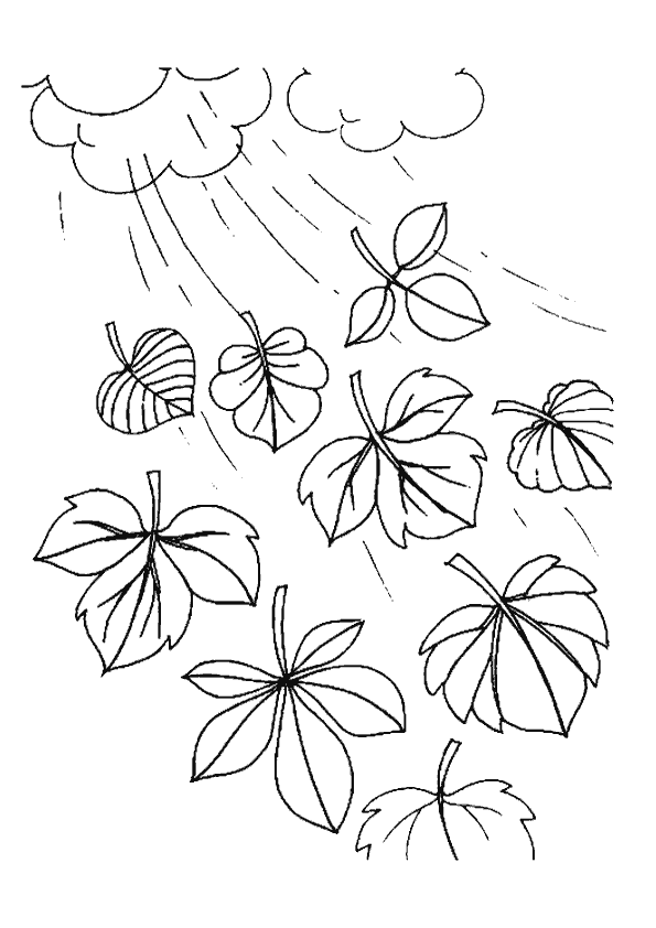 Sonbahar Boyama Sayfası