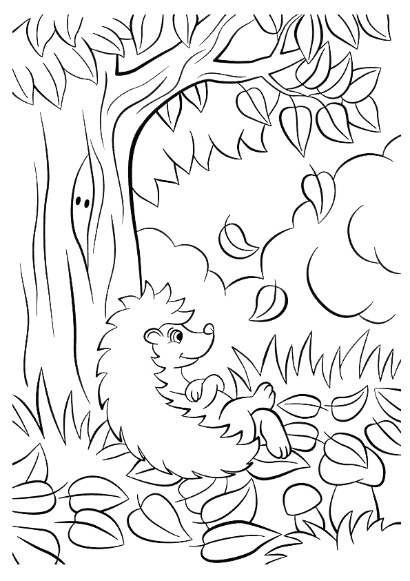 Sonbahar Boyama Sayfası