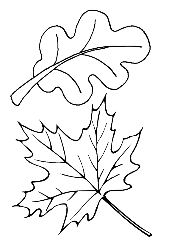 Sonbahar Boyama Sayfası