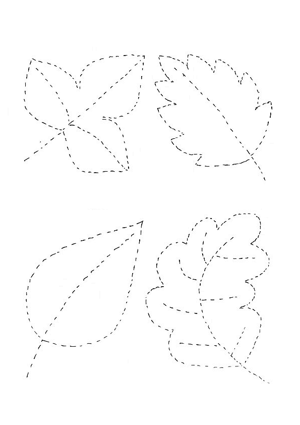 Yaprak Çizgi Çalışması