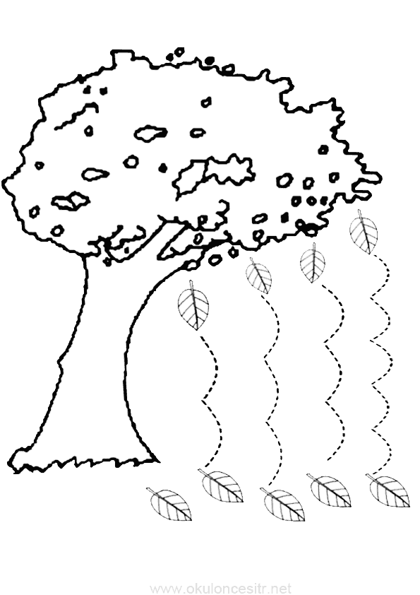 Sonbahar Çizgi Çalışması