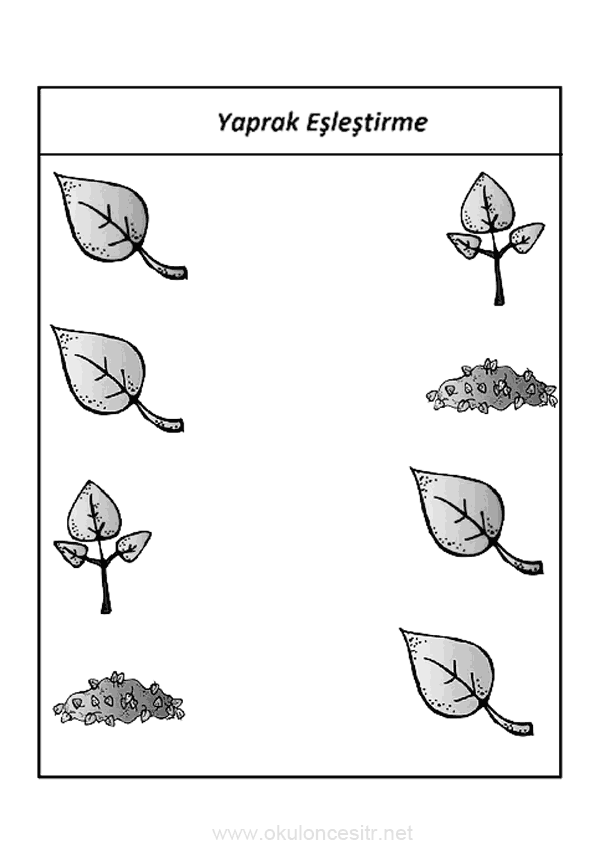 Sonbahar Eşleştirme Etkinliği