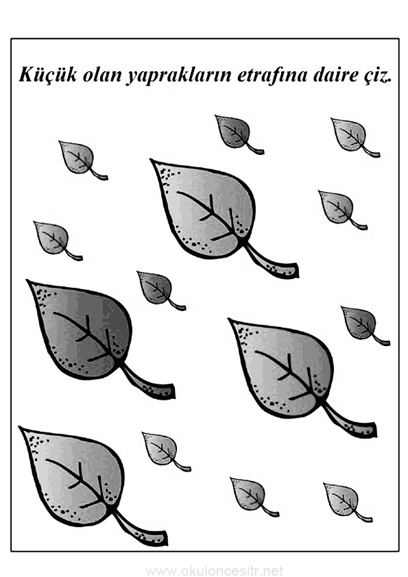 Sonbahar Eşleştirme Etkinliği