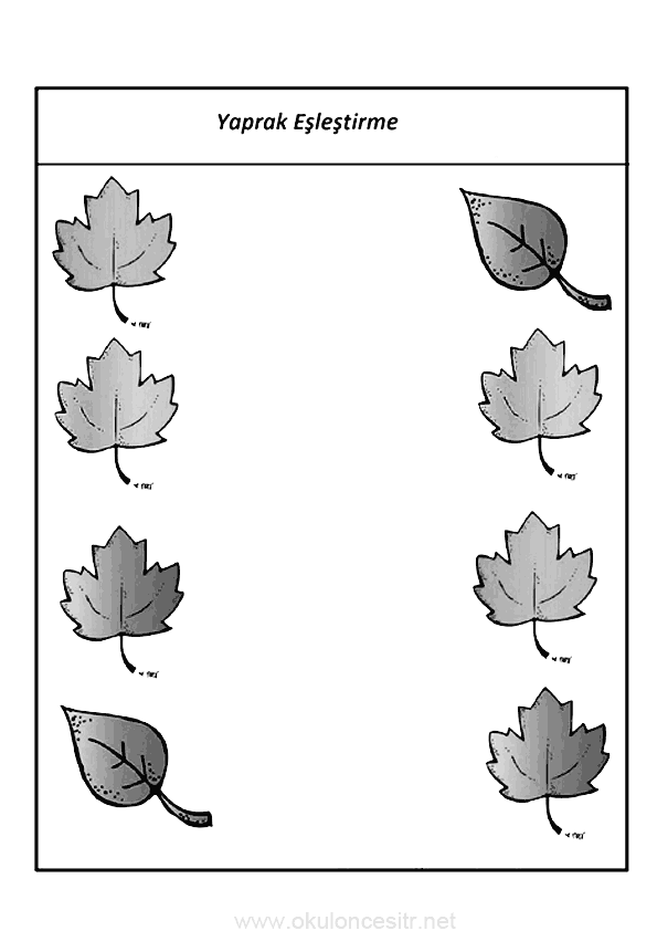 Sonbahar Eşleştirme Etkinliği